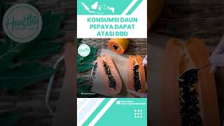 Kerap Disepelekan! Konsumsi Daun Pepaya Dapat Mengobati Gangguan Pencernaan hingga Atasi DBD