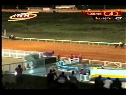 Resumen Viernes, 12 de Diciembre de 2014  - Santa Rita