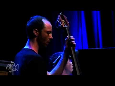 The Cinematic Orchestra - As The Stars Fall | Live in Sydney | Moshcam
