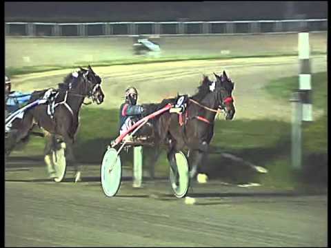 Trotto 21/01/2016 - 8° corsa TRIS