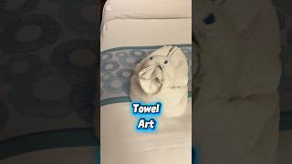 Towel Art #carnivalcruise #cruisetour #travelvlog #cruiseship #splendor #travel