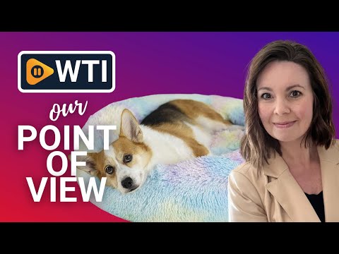 Raimaiso Anti Anxiety Round Fluffy Washable Dog Bed & Cat Bed - WTI product video review