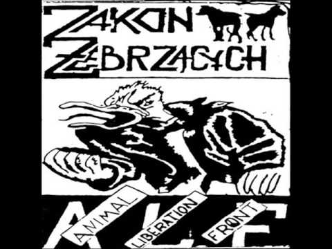 zakon żebrzących - skurwiele