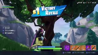 【フォートナイト】のんびりフォートナイト14
