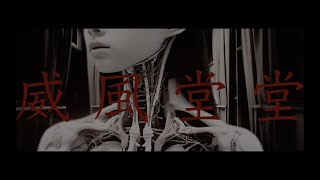 【公式】威風堂堂　MV