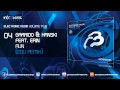 Electronic Audio Vol 2 Garrido Hanski Feat Erin Run EDU Remix