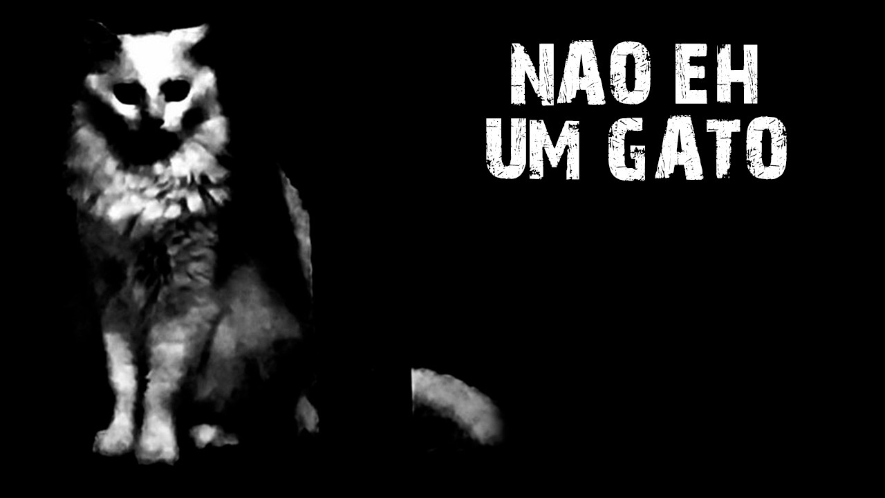 SE VC OUVIR O SOM DE UM GATO GRITANDO DE NOITE, NÃO É UM GATO...