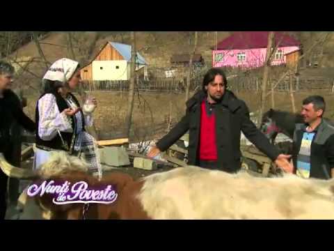 Nicoleta Luciu a muls vaca la NUNTI DE POVESTE!