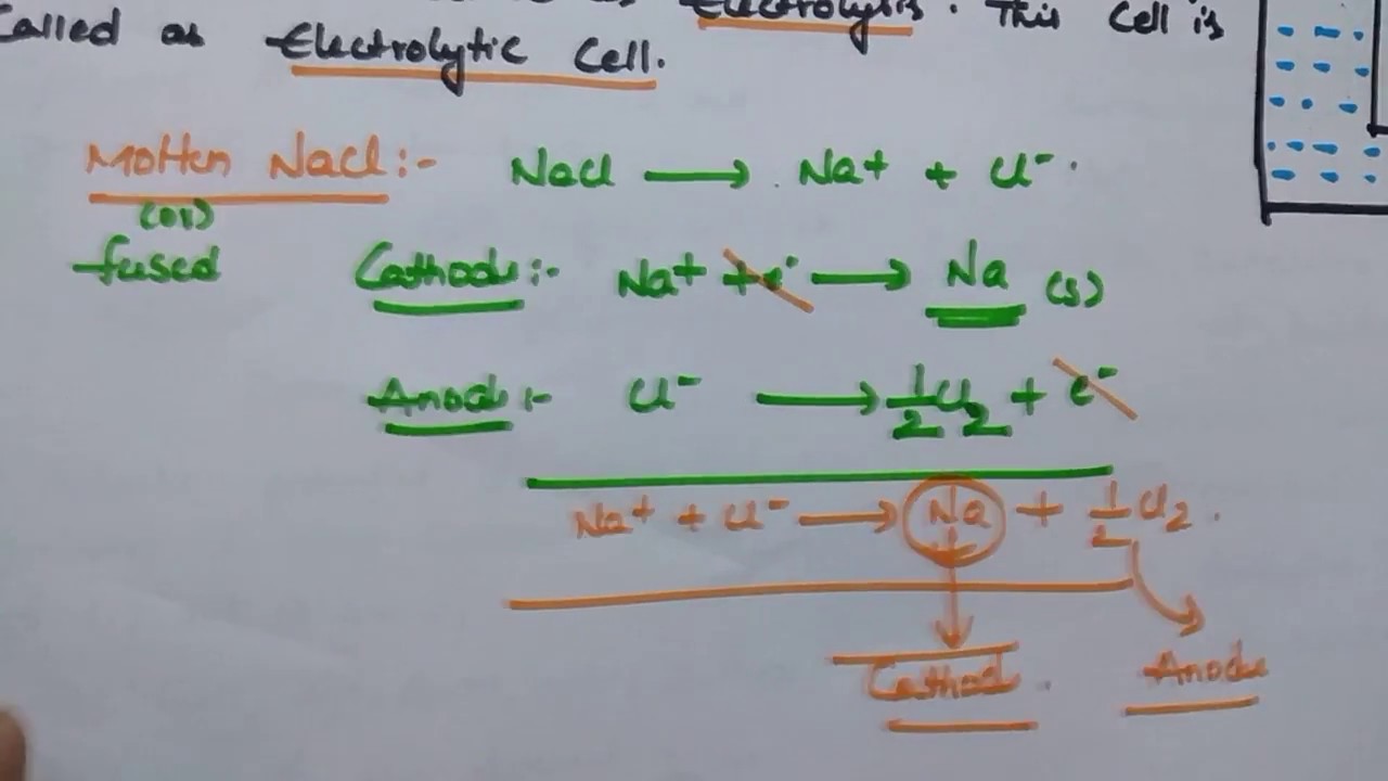 Trick to find products of Electrolysis at Cathode and Anode | Electrochemistry | Class 12