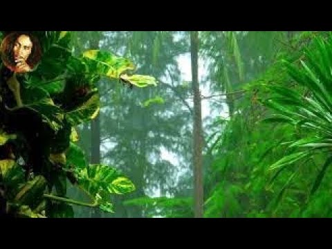 Pure Heavy Rain in Garden with Deep Thunder Sounds - Real Rain Sounds for Sleeping, Relaxing