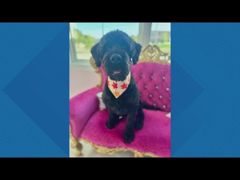 Sammy's Stars: Oct. 14, 2025 - YouTube