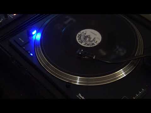 reality. wise rockers.