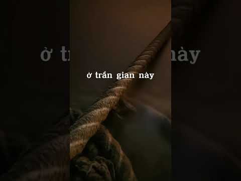 #244 ISLAM NGHIÊM CẤM TỰ TỬ TRONG MỌI HOÀN CẢNH