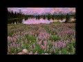 Seabound -  Torch Monozelle