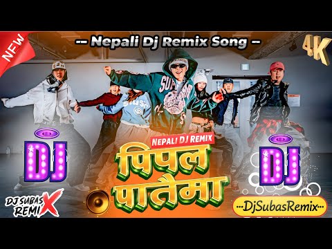 Pipal Pataima DJ Song Mix By DJSubasRemix | New TikTokviral Nepali DJ Song with hot girls dance 2026