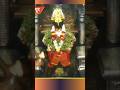 श्री विठ्ठल चैत्र अमावस्या Youtubeshorts Darshan Vithh