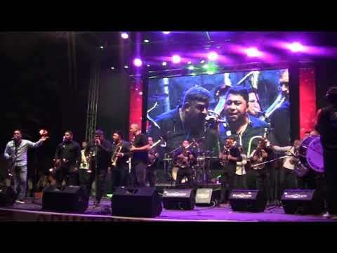 Ponocni koncert Guca 2019-Midnight concert in Guca 2019