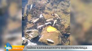 Рыбалка в лениногорске