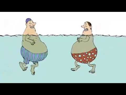 Das Eisbergmodell und der Konfliktschmetterling