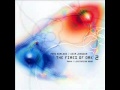 Pete Namlook & Geir Jenssen - A Way To Focus The Mind (The Fires Of Ork 2)