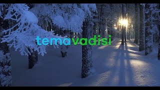 Temavadisi Tema Güncellemesi Nasıl Yapılır