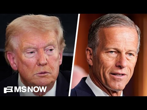 'The tensions have been unmistakable': 'Awkward' divide grows between Trump and Thune
