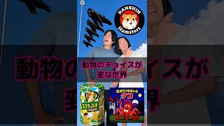 動物のチョイスが変な世界