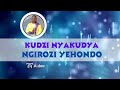 Ngirozi yehondo - Kudzi Nyakudya