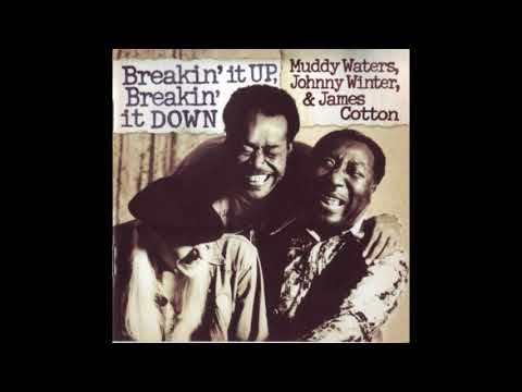 Johnny Winter, Muddy Waters & James Cotton - Black cat bone / Dust my broom