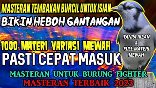 Download lagu SUARA FULL TEMBAKAN BURUNG KECIL || MASTERAN PALING DI SUKAI JURI - masteran burung kecil @Baonk mp3