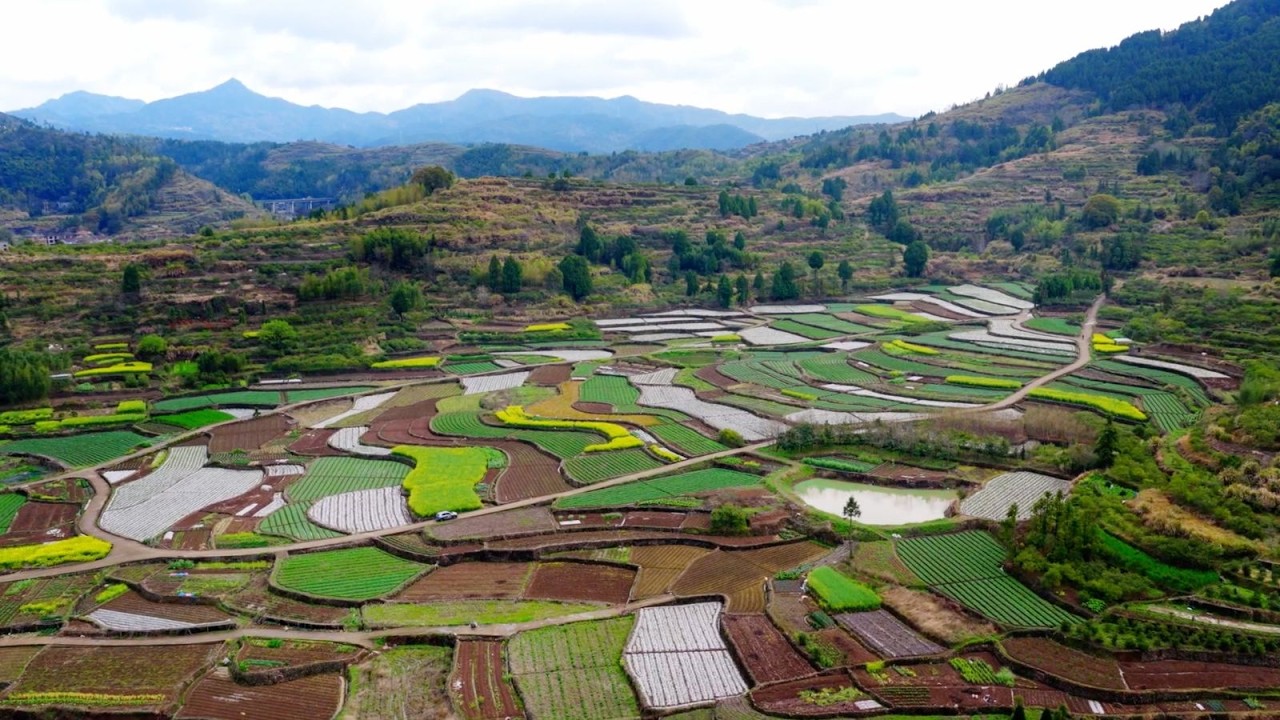 Colección de primavera: La paleta de colores de los arrozales