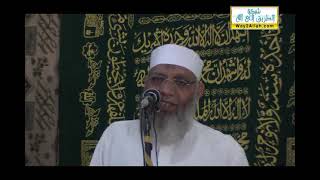 الاسلام دين السلام 15 8 2014 image