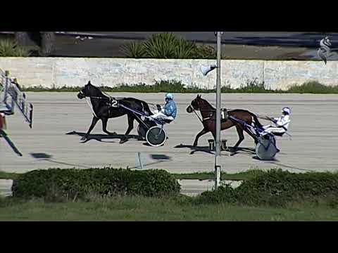 Aversa trotto 2 Marzo 2022 - Prova di qualifica