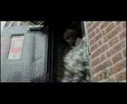 Royalists -DONT HATE!!