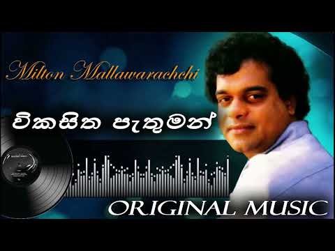 Vikasitha Pathuman Obe Laye(විකසිත පැතුමන්) Milton Mallawarachchi