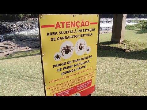 Piracicaba investiga morte suspeita por febre maculosa