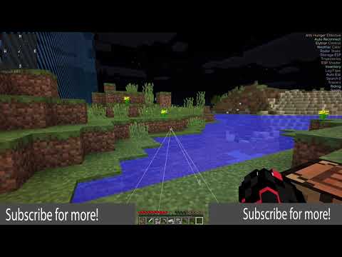 [13/11/2020] New Dup hack on 5b5t Anarchy 1.12 Minecraft