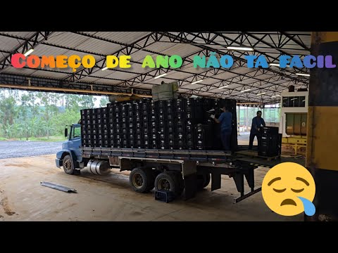 (1620) This January was weak in cargo