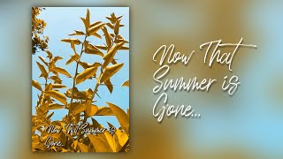 Now that Summer is Gone...