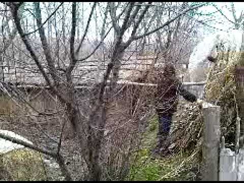 Gârcov, judetul Olt vid.1