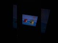 Sesame Street ADVENTURE Man And Women
