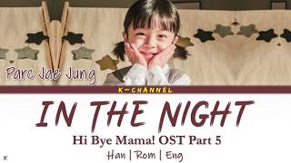 In The Night - Parc Jae Jung 박재정 | Hi Bye Mama! 하이바이 마마! OST Part 5 | Lyrics 가사 | Han/Rom/Eng