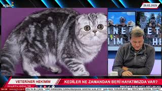 Kediler Ve Tüyleri ? Orhan Özbaba İle Veteriner Hekimim