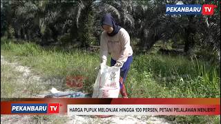 Harga Pupuk Melonjak Hingga 100 Persen, Petani Pelalawan Menjerit