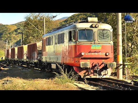 Două Trenuri în Gara Feldru 🚊🚂 Two Trains in Feldru Train Station - 17 Octombrie 2024