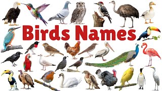 Birds Name in English with pictures |  Birds vocabulary | Birds pictures | Birds name for kids