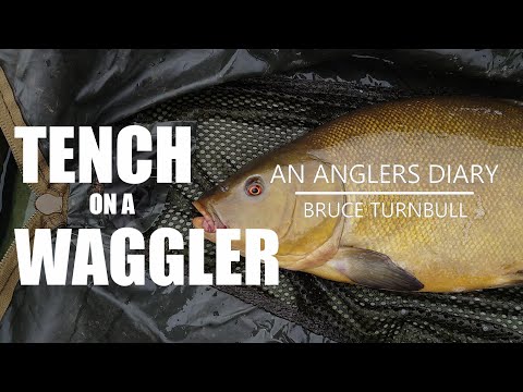 An Anglers Diary with A Moment in Time Channel - Chapter 77 - Tench Fishing