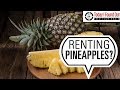 That Time When the Elite of the Western World Rented Pineapples by the Hour