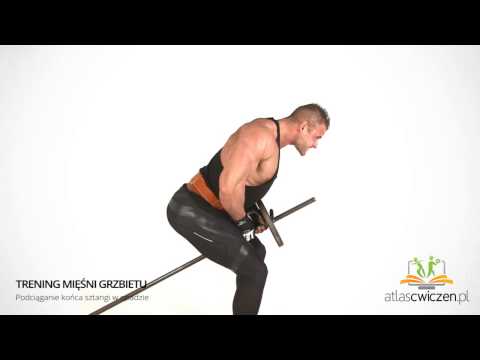 Jak pompować mięśnie skośne powrotem Bodybuilding ponad 30 zdjęć