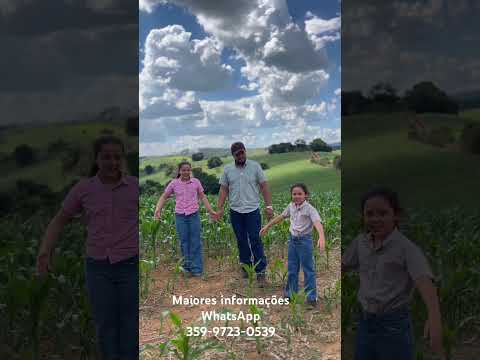 Terreno rural  11 alqueires à venda em Pedra Bela-SP! Oportunidade! #TerrenoRural#PedraBela #Chácara